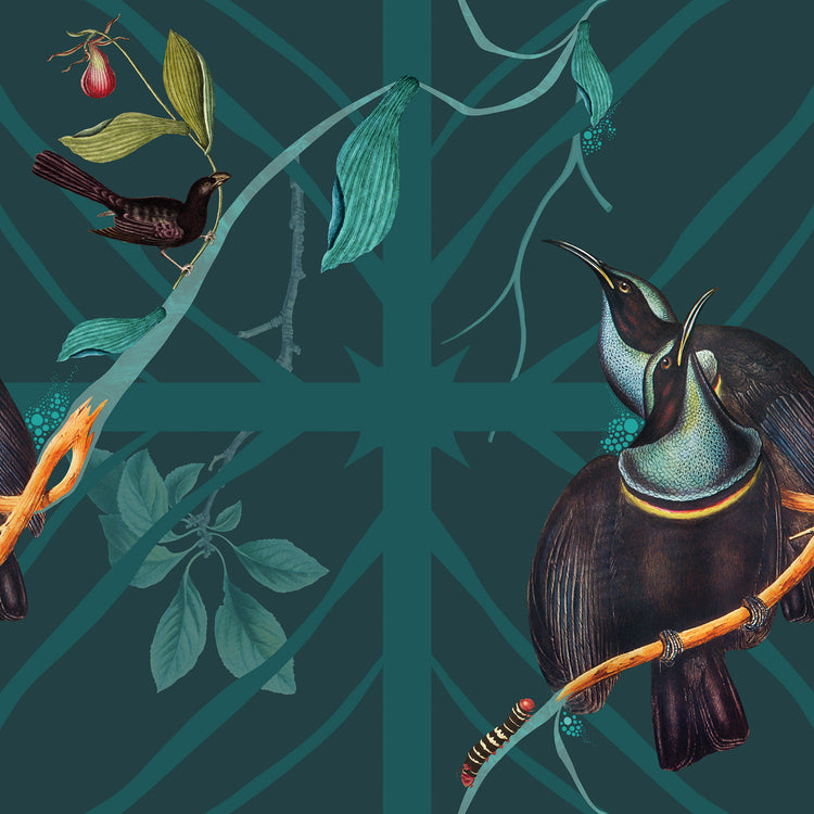 Caged Bird