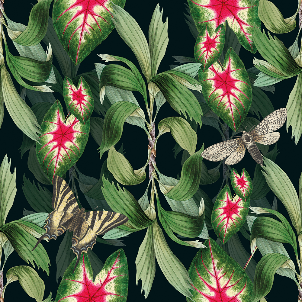 Tropic