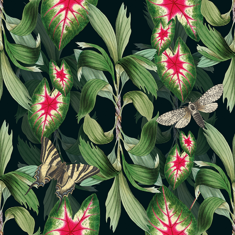Tropic