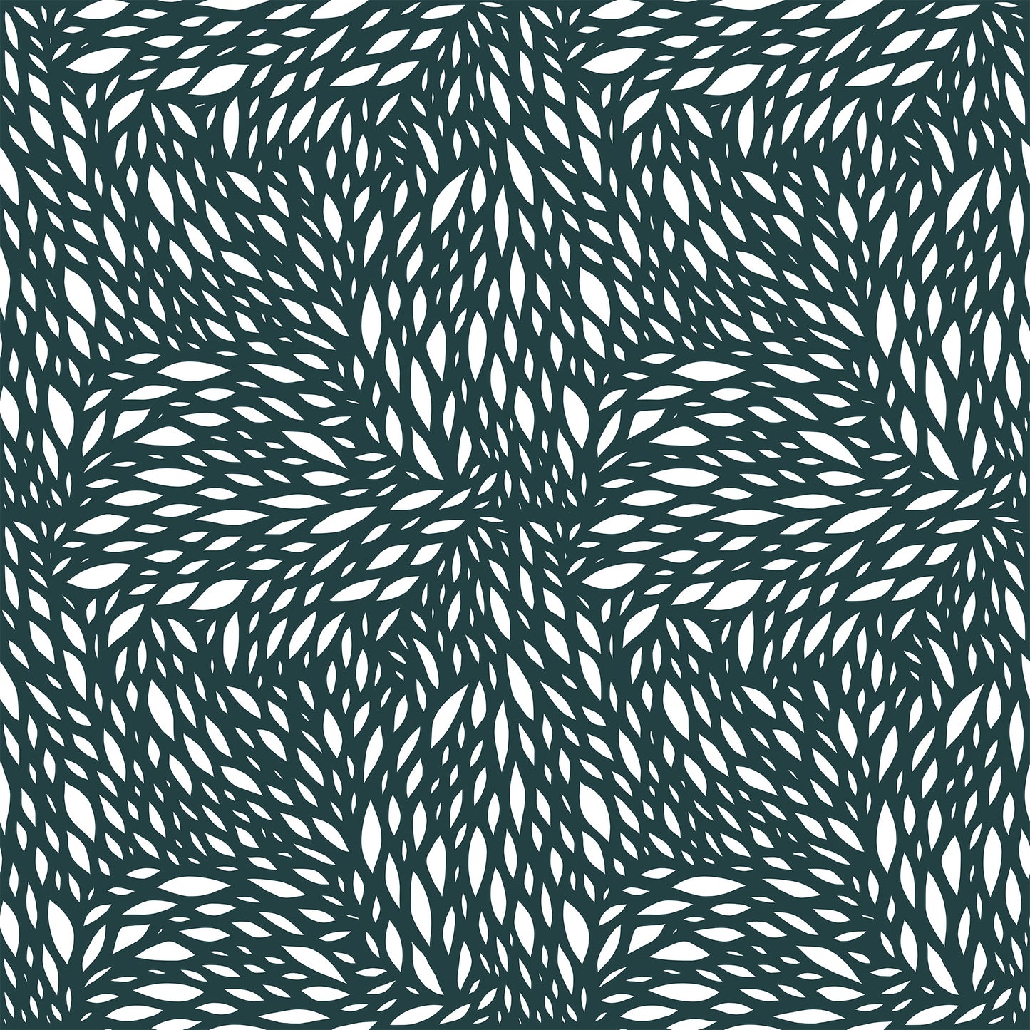 Feather Wallpaper